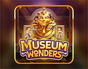 Museum Wonders